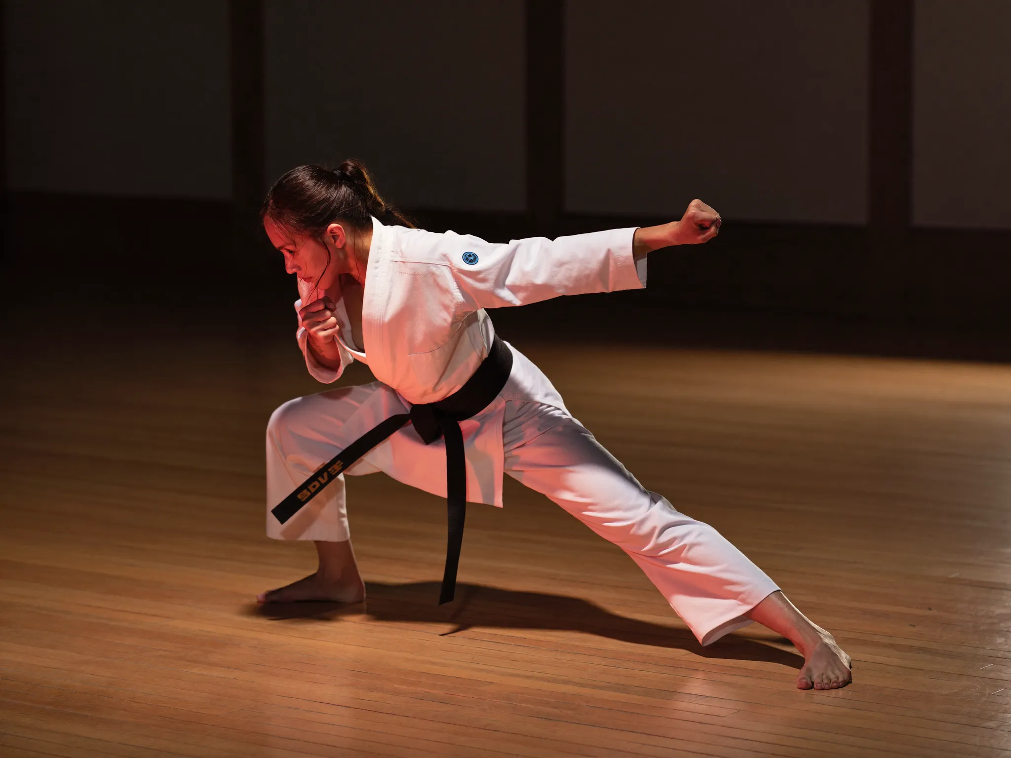 Karateka performing a kata punch